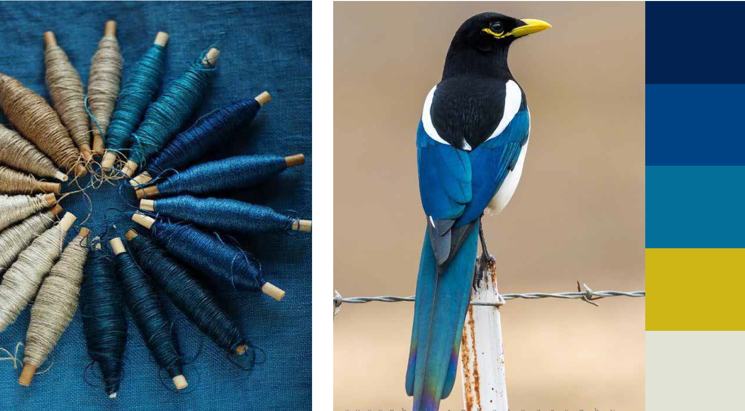 Venture Design for places involves culture, design & community. They are central. NYUCT Design Labs over its decade of building destination brands, keeps learning with each new adventure.