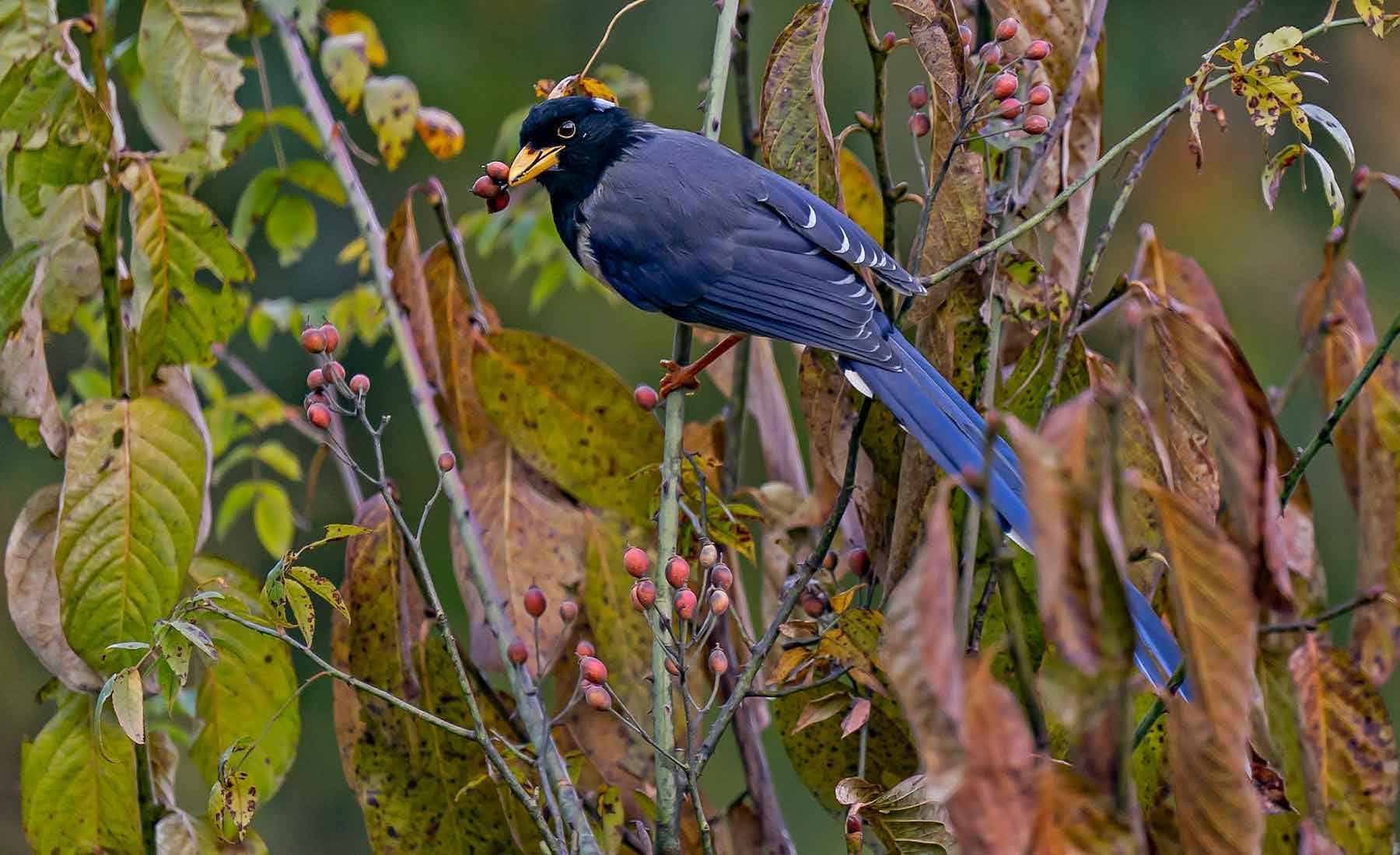 Venture Design for places involves culture, design & community. They are central. NYUCT Design Labs over its decade of building destination brands, keeps learning with each new adventure.